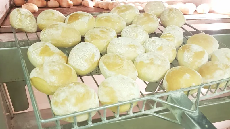 Panini tondi infarinati appena sfornati, sulla pala davanti al forno